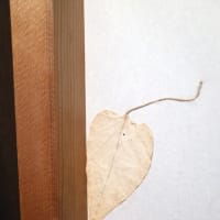 とても風流な「障子」