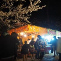 金沢城公園の夜桜