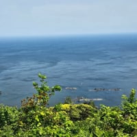 2025年5月 隠岐旅行（第３日目）「モーモードーム」の牛突きを見て、島の北部へ（白島海岸とかぶら杉）