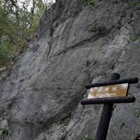高知県・横倉山