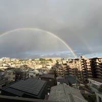 二重の虹が