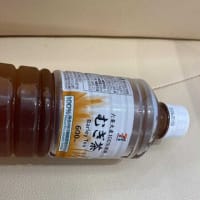 朝ウォーキングの風景。令和7年6月20日。人を信用しない半黒三毛。