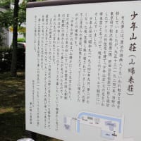 第17回「関東大震災と少年山荘」（竹久不二彦）