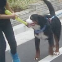 色々なことがあった一日