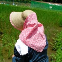 安いです(^0^)/