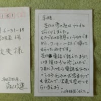 写真家diary