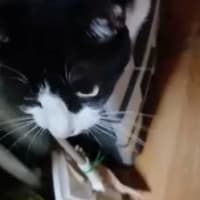 何もしなかったよ　ええ