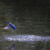 変更してko公園に