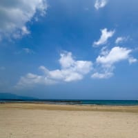 2025年7月4日
