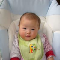 つわり はじめての育児 嘔吐恐怖症 パニック障害を抱えて