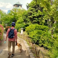 お引越しをするその前に！5月後半のお散歩♪