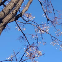はてなブログにお引越し