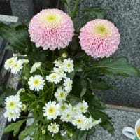 お墓参りへ