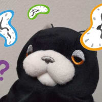 しゅじゅちゅの疑惑