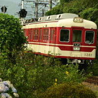 梅雨明けは過ぎたけれど