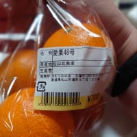 紅プリンセスと愛果48号の食べ比べ
