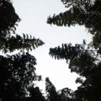 空