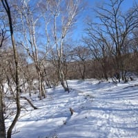 赤城 長七郎山と小沼氷上横断