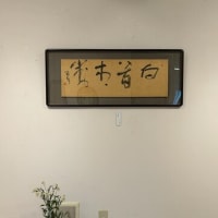 明日31日は最終日です。