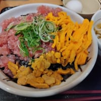 なか卯（１０３）ウニマグロ丼
