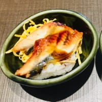 先ずはプチ鰻の日