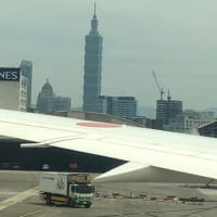 もう終わり　台湾旅行　また行くド‼︎