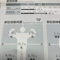 筋肉量が分かった！