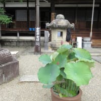 第3回目　大和１３佛霊場　午後のお参り　第２番・西大寺へ