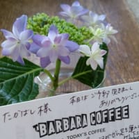 金曜日は神の館とBarbaracoffeeへ