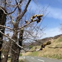 2025年3月のお休み予定