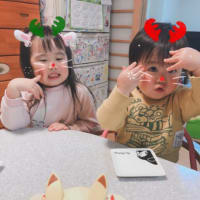 メリークリスマス✨🎄✨