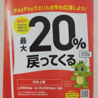 PayPay 「頑張ろう！さいたま市！最大20％戻ってくるキャンペーン」