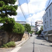 安倍昭恵元首相夫人が名誉園長を務めていた神戸の「御影インターナショナルこども園」は昔、大道学園と言う予備校があった場所に岡山の加計学園が作った。