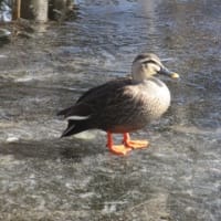 あの頃のお金事情