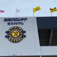 子供の事情 見てきました もるるんのよくばりポケット 子供の事情 見てきました もるるんのよくばりポケット