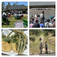 田舎遊び・・・！