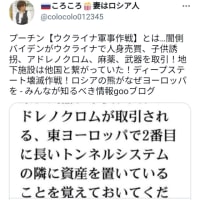ゲサラ分配給付金の世界的実施へ前進🔔ウクライナは終わった😋プーチン大統領が💌ドンバスのリチウム⚡希土類鉱物⚡石油・ガス田を掌握したことで😋ブラックロックの150億ドルのウクライナ復興基金は廃止された😂