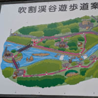 クリンへの想いは尽きなくて・・・290