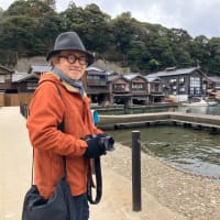 伊根の舟屋を見学