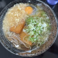「どなんほんごう」でランチ