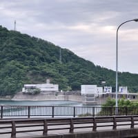 半原の紫陽花土手はコンクリート詰めだった