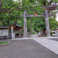 日の長い夕方、境内です
