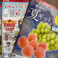 お中元選び