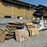 環境美化活動に参加