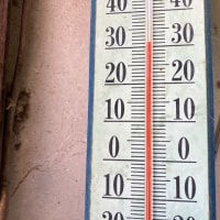 今日は非常に熱い日で31℃有りました