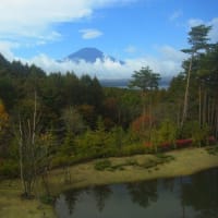 ちょっぴり秋