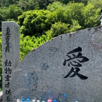 日高寺