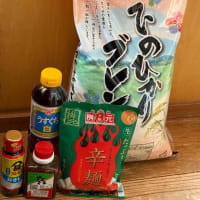 実はいろいろおいしい宮崎メシ