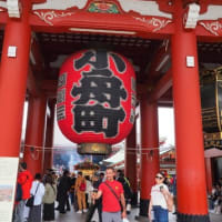 ④最終回。上野と浅草での自由行動：11人のツアーでJapan日本の桜を見に来た、マレーシア友人達の旅日記です。