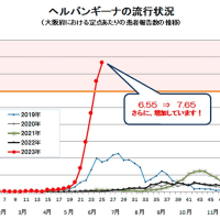 自分の心を救う方法。下を向いて歩こう